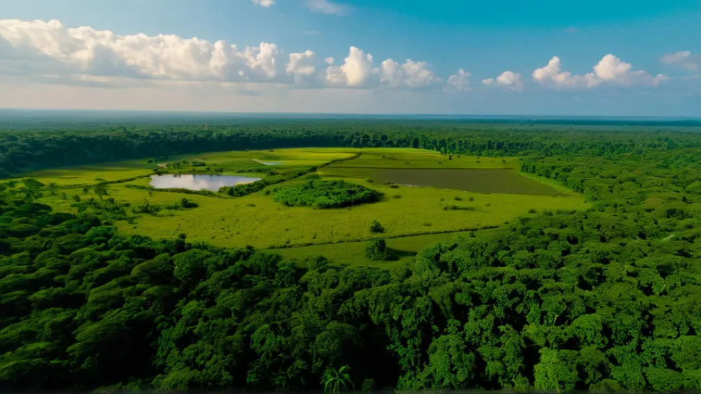 "فانتارا": حديقة حيوانات خاصة لملياردير هندي تثير الجدل بشأن مصادر آلاف الحيوانات