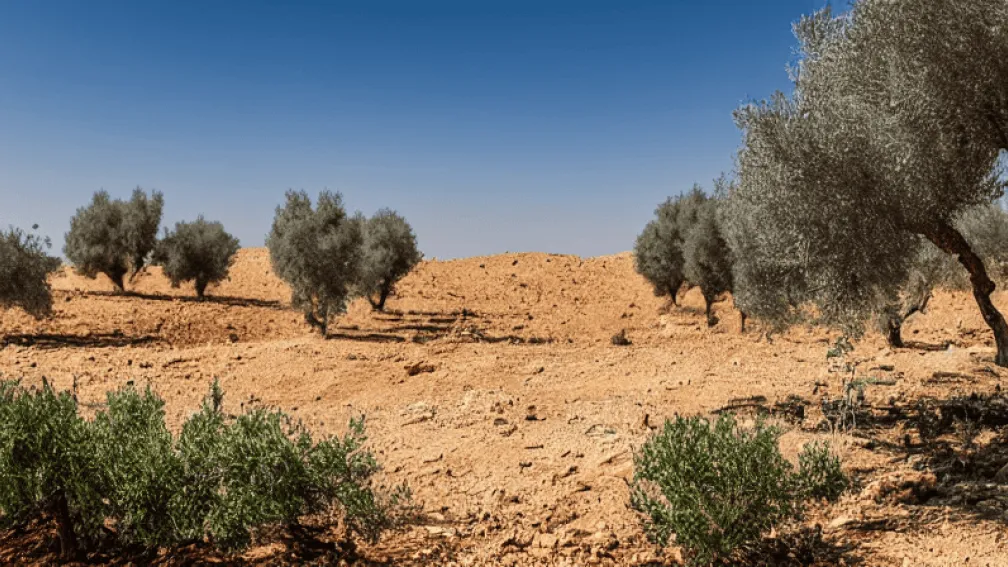مخرج فلسطيني حائز على أوسكار مُعتقل