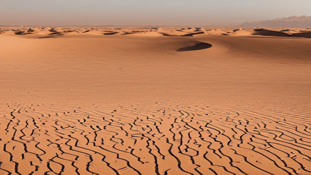 أسرار الصحاري: معرض جديد في باريس