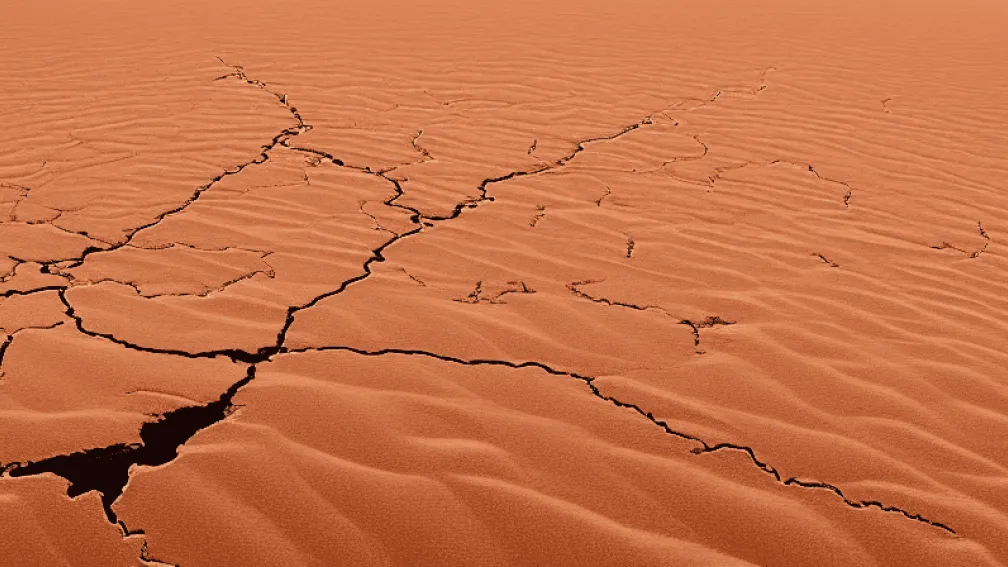مالي وحلفاؤها يستدعون سفراءهم من الجزائر