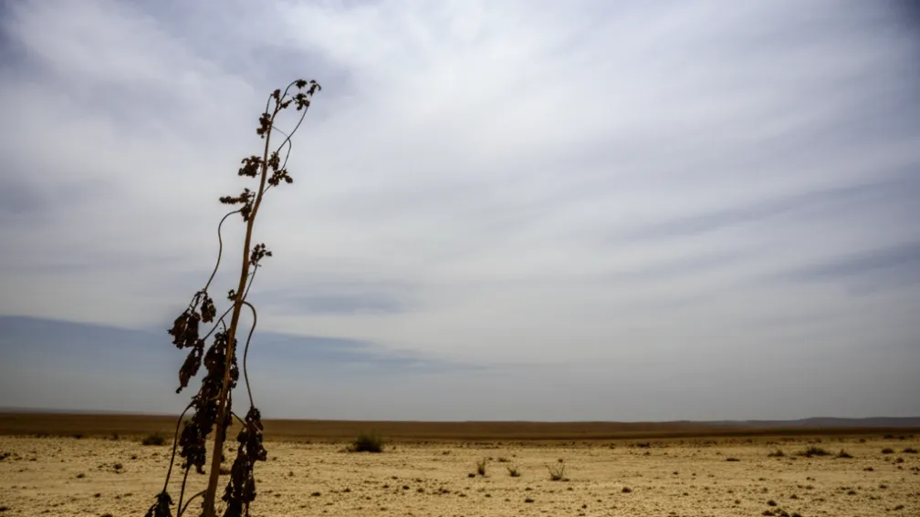 أفغانستان: أزمة صحية تلوح في الأفق مع توقف المساعدات الأمريكية