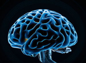 الشبكات العصبية: أساس الذكاء الاصطناعي الحديث