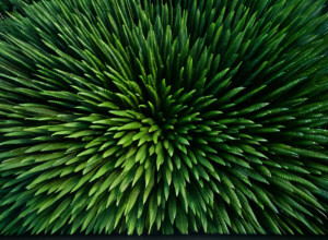 الأمازون على حافة الهاوية المناخية: تحذيرات علمية متزايدة