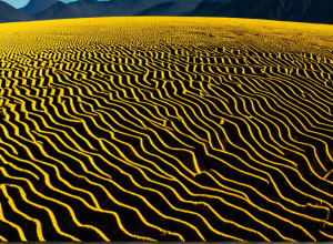 مؤتمر COP30: الحراك الاجتماعي البرازيلي يتظاهر ضد الوقود الأحفوري