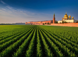 حماية البيئة