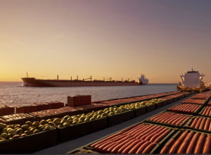 إدارة ترامب تلغي الرسوم الجمركية الإضافية على الصادرات البرازيلية الرئيسية