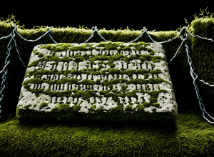 الإبادة الجماعية المنسية للروما: كيف يغذي صمت التاريخ التمييز المعاصر؟