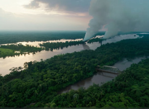 مجتمعات السكان الأصليين والأفرو-برازيليين في باركارينا تكافح الشركات الغربية