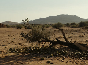 غزة: الهدنة الكاذبة والعنف المستمر رغم الاتفاق