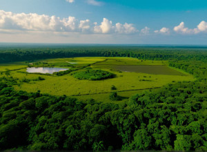 "فانتارا": حديقة حيوانات خاصة لملياردير هندي تثير الجدل بشأن مصادر آلاف الحيوانات