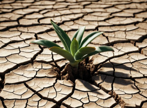 التزامات المناخ الجديدة للدول تعرض اتفاق باريس للخطر