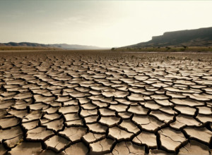 الجفاف يهدد سوريا بعد سنوات الحرب: أزمة غذاء ومعيشة