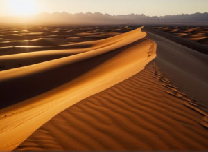 قرار أممي بشأن الصحراء الغربية وموجة احتجاجات في المغرب