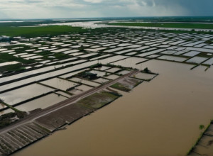 فيضانات آسيا المدمرة: قرابة ألف قتيل ونشر عسكري في إندونيسيا وسريلانكا