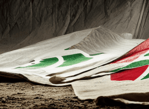 فرنسا تسلّم الجزائر قائمة بمئات الجزائريين «الخطرين» لترحيلهم بأولوية