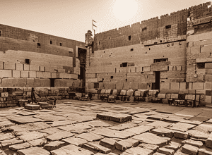 ماراثون القدس: سباق مشاعر أمة في زمن الحرب