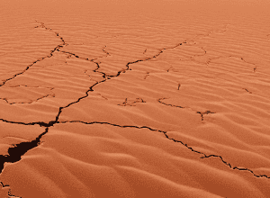مالي وحلفاؤها يستدعون سفراءهم من الجزائر