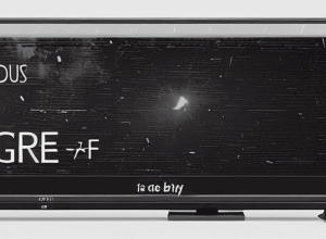 تلفزيون: TF1 تتصدر، وتراجع في France 2