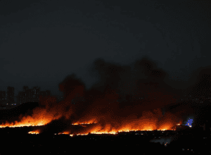 هجمات على سجون فرنسية وأزمة مع الجزائر وإجراءات اقتصادية