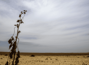 أفغانستان: أزمة صحية تلوح في الأفق مع توقف المساعدات الأمريكية