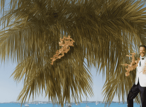 من هم أبناء روبرت دي نيرو السبعة؟ نظرة على حياته العائلية