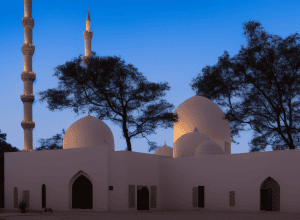 جريمة قتل في مسجد في غارد: بايرو يدافع عن مصطلح «الإسلاموفوبيا»