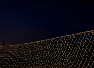 تقرير أممي يحذر: تراجع الدولة الاجتماعية يغذي صعود اليمين المتطرف