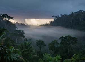 كولومبيا: مقتل 19 مسلحًا من منشقي "فارك" بضربات جوية في الأمازون