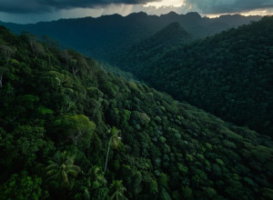 جدل في كولومبيا: قصف جوي يستهدف جماعة مسلحة تضم قاصرين يثير انتقادات حادة للرئيس بترو