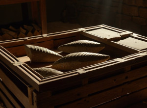 إنقاذ آثار غزة القديمة: صراع من أجل التاريخ في ظل الحرب