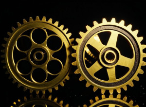 كواليس الميثاق الأخضر الأوروبي: صراع البرلماني باسكال كانفان من أجل حياد الكربون