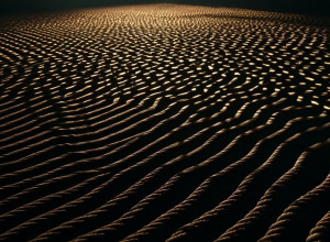 "اتصال GUD" يعود ليُعكر صفو "التجمع الوطني" الفرنسي مجددًا