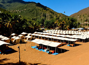 عائلات المعتدلين السياسيين في ونزويليا تنتظر التحرير