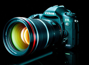 أليو فانتي: إذا كانت التوترات تجعلنا نفقد الفن، سنحدق جساري الثقافة