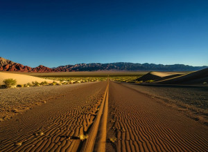 رونه، مدينة صغيرة في نيوودا، أصبحت تعيش تحت دنالد ط럼ب