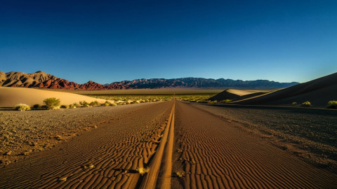 رونه، مدينة صغيرة في نيوودا، أصبحت تعيش تحت دنالد ط럼ب