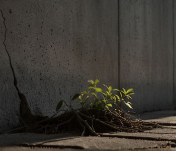 الكسندرا بوبوفا تناضل من أجل عودة زوجها: قصة زوجة سجين سياسي في موسكو