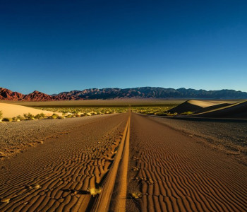 رونه، مدينة صغيرة في نيوودا، أصبحت تعيش تحت دنالد ط럼ب