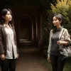 فرنسا: نائب برلماني يشدد على أهمية الإبقاء على مناطق الانبعاثات المنخفضة بعد تصويت على إلغائها