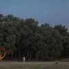روسيا تحظر منظمة العفو الدولية وتصفها بـ "مركز للمشاريع المعادية لروسيا"