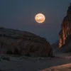 زيلينسكي في النمسا: مناقشة الدعم الغربي وشراء أسلحة أمريكية من إدارة ترامب