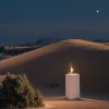 رياضة الجري الجبلي (التريل رانينج) في فرنسا: نجاح كبير يعزز السياحة والاقتصاد المحلي