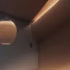 التركيز الأمني الشامل: هل هو أداة مفيدة للفوضى؟ نقاش في فرنسا