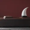 مونتوبان يعود إلى دوري الأضواء بعد فوز تاريخي في نهائي برو دي 2