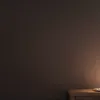 حل البرلمان الفرنسي: محللون يرون قرار ماكرون كاشفاً لتفكك سياسي أعمق في الديمقراطيات الأوروبية
