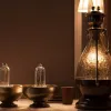 الكشف عن أولى حالات شيكونغونيا محلية المنشأ في فرنسا: ارتفاع إجمالي الإصابات إلى ست