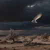 نتنياهو يضع شروطه لوقف دائم لإطلاق النار: نزع سلاح حماس وغزة منزوعة السلاح