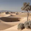 مبعوث أمريكي يلتقي أهالي الأسرى في تل أبيب وسط كارثة إنسانية وتهديدات إسرائيلية في غزة