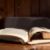 أفضل 10 كتب خريفية: من رواية مثيرة عن الأم إلى إعادة تصور الكلاسيكيات